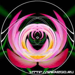 Abstract Flowers in Photoshop CS5