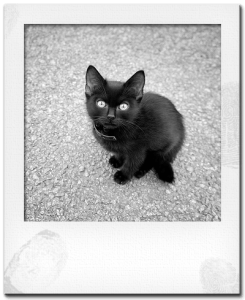 Polaroid-Frame